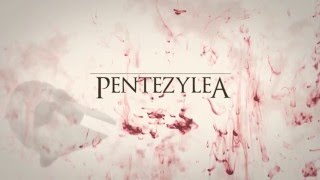 PENTEZYLEA / reż. Helena Radzikowska