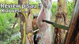 Review pisau sembelih,seset,dan cacah tulang pada kambing...!!!