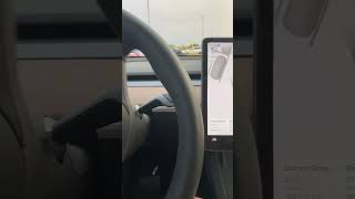 Tesla auto parking