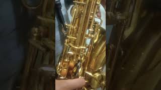 careless Whisper themed alto sax solo #jazzsolo #tenorsax