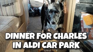 Dinner for Charlie in Aldi car park #vanlife