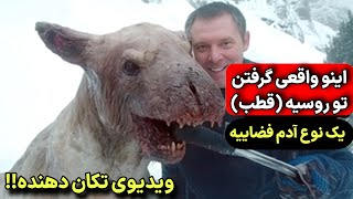 ویدیو شوکه کننده از مراسم وحشتناک بخور حشیش برای احضار جن ❌️ وحشتناک ترین ویدیو های ایران