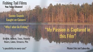 The Beautiful World of Fishing #birdlife #trees #rivers #fishing #relaxingvideo #countryside