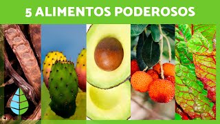 5 ALIMENTOS MILAGROSOS que você deve INCLUIR na sua DIETA 🥑✅