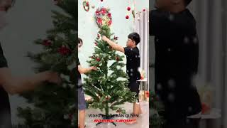 Hướng dẫn lắp đặt Cây Thông Noel 3 Loại Lá Gắn Trái Đỏ 2M Trang Trí, Decor Giáng Sinh Noel Văn Phòng