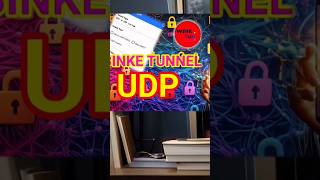 Binke Tunnel UDP settings #udp #binketunnel