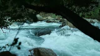 Relaxing running water stream in Sequoia National Park