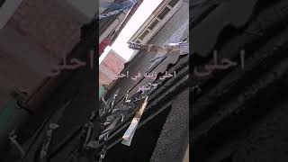 احلى شهر مفرحنا ومزوقنا ومحلينا شهر الخير والسعادة والبركات وكل عام وانتم بخير