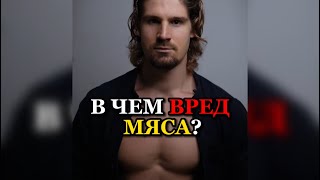 ❗️В ЧЕМ ВРЕД МЯСА?