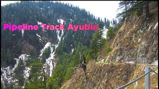 Murree to Ayubia Pipeline Track | Travel Pakistan