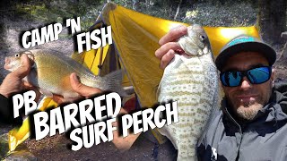 Camp'n Fish - PB Barred Surf Perch In High Winds