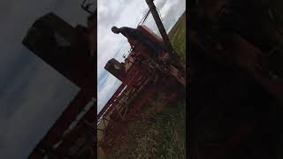 Harvesting wheat