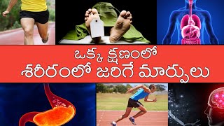 What Happens In One Second In Human Body | Mindblowing Facts About Human Organs | Telugu University|