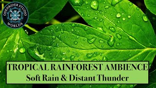 Tropical Rainforest Ambience | Soft Rain | Distant Thunderstorm