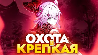 Гайд на Март-7 Охоты [Honkai Star Rail]