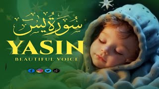 Surah Yasin | The Heart of the Quran - Relaxing Quran Recitation