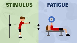 Stimulus-to-Fatigue Ratio for Hypertrophy