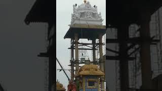 tirumala Tirupati *திருமலை திருப்பதி மலையப்பா ஸ்வாமி ரதோத்ஸவம் திவ்ய மங்கள தரிசனம்*