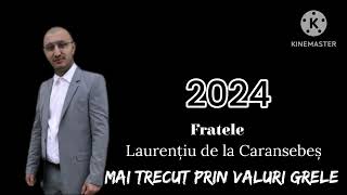 Mai trecut prin valuri grele - Savu Laurențiu (Cover) 2024