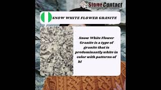 StoneContact - Snow White Flower Granite post