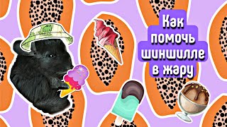 🍧КАК ПОМОЧЬ ШИНШИЛЛЕ В ЖАРУ🌞🍦\\ HRUMKA