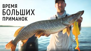 Чем ловит MaxFishing Team | Действительно БОЛЬШИЕ приманки | Ловля щуки на бигбейты