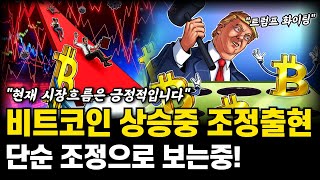 비트코인 일시적 하락 출현! 큰폭의 조정은 아니니 걱정하지마세요! 비트코인 상승추세 유지중! 비트코인 전망 호재 분석