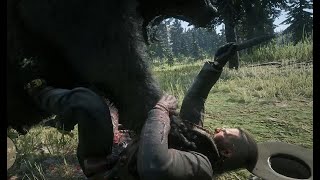 One of my favorite encounters in RDR2.