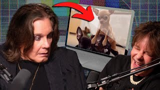 Ozzy Watches Dogs Get it On | The Madhouse Chronicles