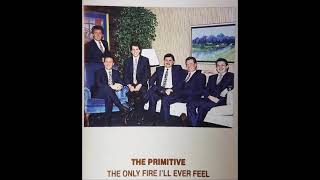 The Primitive Quartet: The Only Fire I'll Ever Feel