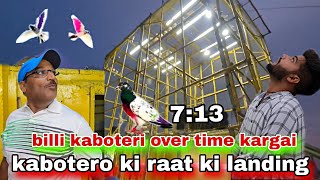 Bara kaboter ko lagar ny pakar liya 😲 Ustad billa k kabotero ki raat ki landing 😊 billi 7:13 per bth