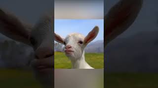 Please Subscribe!! 😂😂Cutest Funny Baby Goats Video Compilation