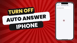 How To Turn Off Auto Answer on iPhone in 2024