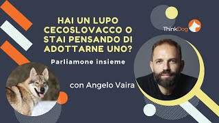 Lupo Cecoslovacco: Live con Angelo Vaira 7/04/2022