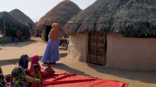 The Very Unique Rural Village Life In Pakistan | Impressive Village Life