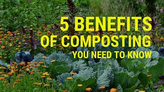 Composting Secrets: 5 Surprising Ways It Benefits More Than Your Garden!