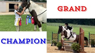 2’3 Hunter Jumper Grand Champion! Vlog. #vlog #equestriangirl #winner