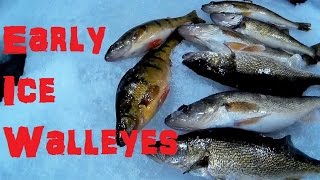 Ice Fishing Walleyes | Limit, Early Ice