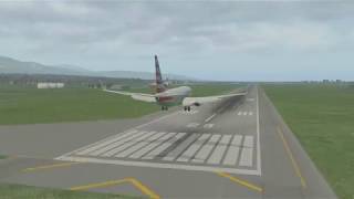 Xplane - Tree on final Haiti- 737 Zibo Mod