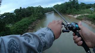 PESCA NOCTURNA DE DORADILLOS