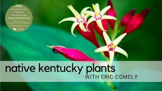 Native Kentucky Plants