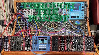 Through the Forest Ambient Eurorack Atmosphere (Disting, Hypster, Sloths, QPAS, Mimephon, Sig)