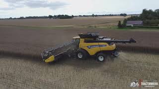 New Holland CR9.90 I Canola Harvest 2024 I Denmark