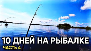 Рыбалка на спиннинг/ Крупный ОКУНЬ клюет отлично / РЫБИНКА!