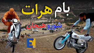 گزارشی از بام هرات، شورو هیجان،جوانان شوقی