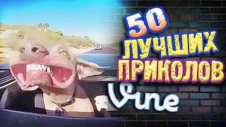 Самые Лучшие Приколы Vine! (ВЫПУСК 115) Лучшие Вайны [17+]