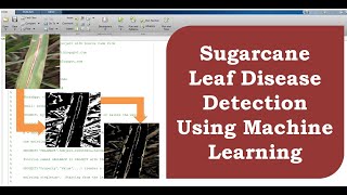 Sugarcane Leaf Disease Detection Using Machine Learning | Sugarcane Plant Disease Classification