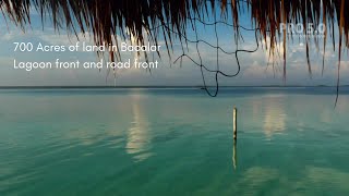 700 Acres of land in Bacalar