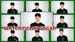 Watermelon Sugar (Harry Styles) - A Cappella Cover by Manav Sharma