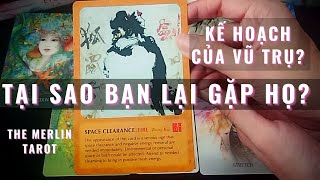 Tại Sao Bạn Lại Gặp Họ? 🤔- Kế Hoạch Của Vũ Trụ🔮